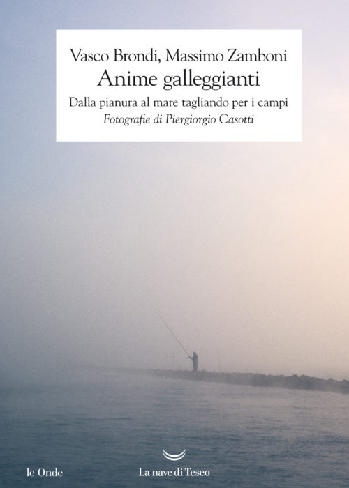 ANIME GALLEGGIANTI