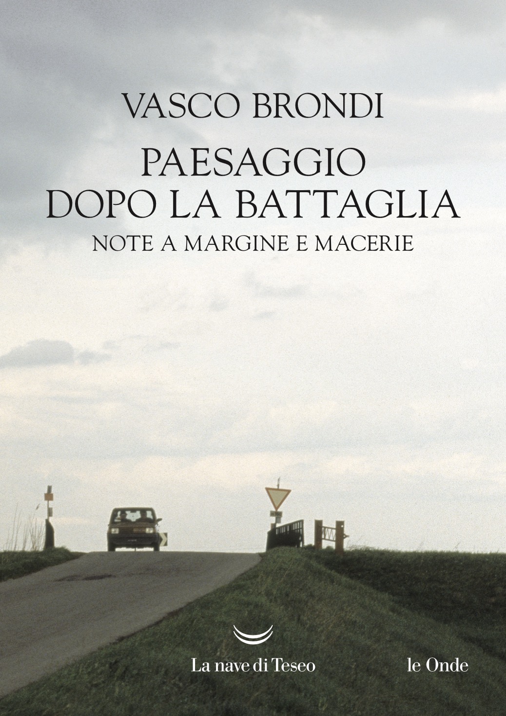 PAESAGGIO DOPO LA BATTAGLIA